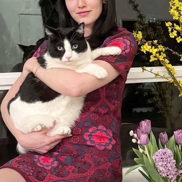 Sandro ❤️❤️❤️size 1 - Picture 2 of 6